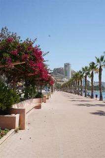 Explanada Hotel אליקאנטה מראה חיצוני תמונה